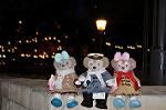 Dcim13016/DSC_8104