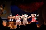 Dcim13019/DSC_9016