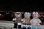 Dcim13027/DSC_8478