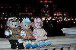 Dcim13027/DSC_8487