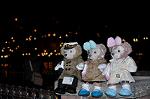 Dcim13027/DSC_8494