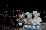 Dcim13027/DSC_8495
