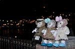 Dcim13027/DSC_8496