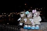 Dcim13027/DSC_8497