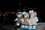 Dcim13027/DSC_8498