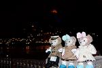 Dcim13035/DSC_0904