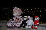 Dcim13039/DSC_8955