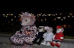 Dcim13039/DSC_8957