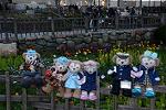 Dcim13052/DSC_2426