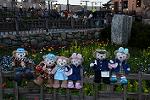 Dcim13052/DSC_2429