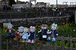 Dcim13052/DSC_2431