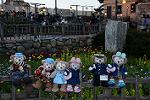 Dcim13052/DSC_2432
