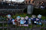 Dcim13052/DSC_2440