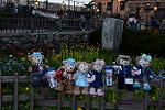 Dcim13052/DSC_2442