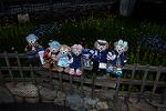Dcim13052/DSC_2445