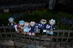 Dcim13052/DSC_2446