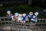 Dcim13052/DSC_2448
