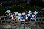 Dcim13052/DSC_2450