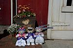 Dcim13056/DSC_2579