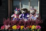 Dcim13057/DSC_2630