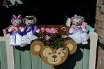 Dcim13057/DSC_2647