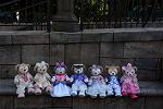 Dcim13059/DSC_2893