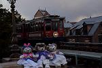 Dcim13061/DSC_3240