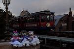 Dcim13061/DSC_3242