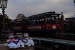 Dcim13061/DSC_3245