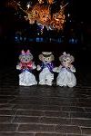Dcim13062/DSC_3493