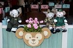 Dcim13079/DSC_6014