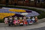 Dcim13089/DSC_7281