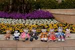 Dcim13089/DSC_7311