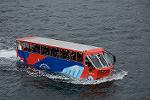 Dcim13093/DSC_7788