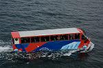 Dcim13093/DSC_7795