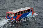 Dcim13093/DSC_7801