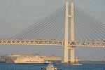 Dcim13095/DSC_8136