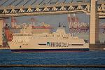 Dcim13096/DSC_8174