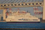 Dcim13096/DSC_8178