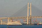 Dcim13096/DSC_8186