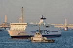 Dcim13096/DSC_8245