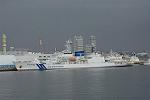 Dcim13098/DSC_8519