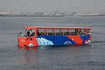 Dcim13101/DSC_8985
