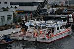 Dcim13103/DSC_9207