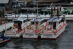 Dcim13103/DSC_9217