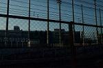 Dcim13113/DSC_0316