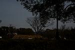 Dcim13113/DSC_0356