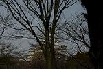 Dcim13113/DSC_0366