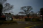 Dcim13113/DSC_0376