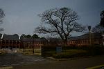 Dcim13113/DSC_0378